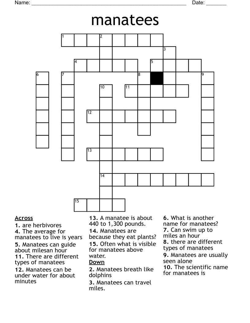 Manatees Crossword WordMint
