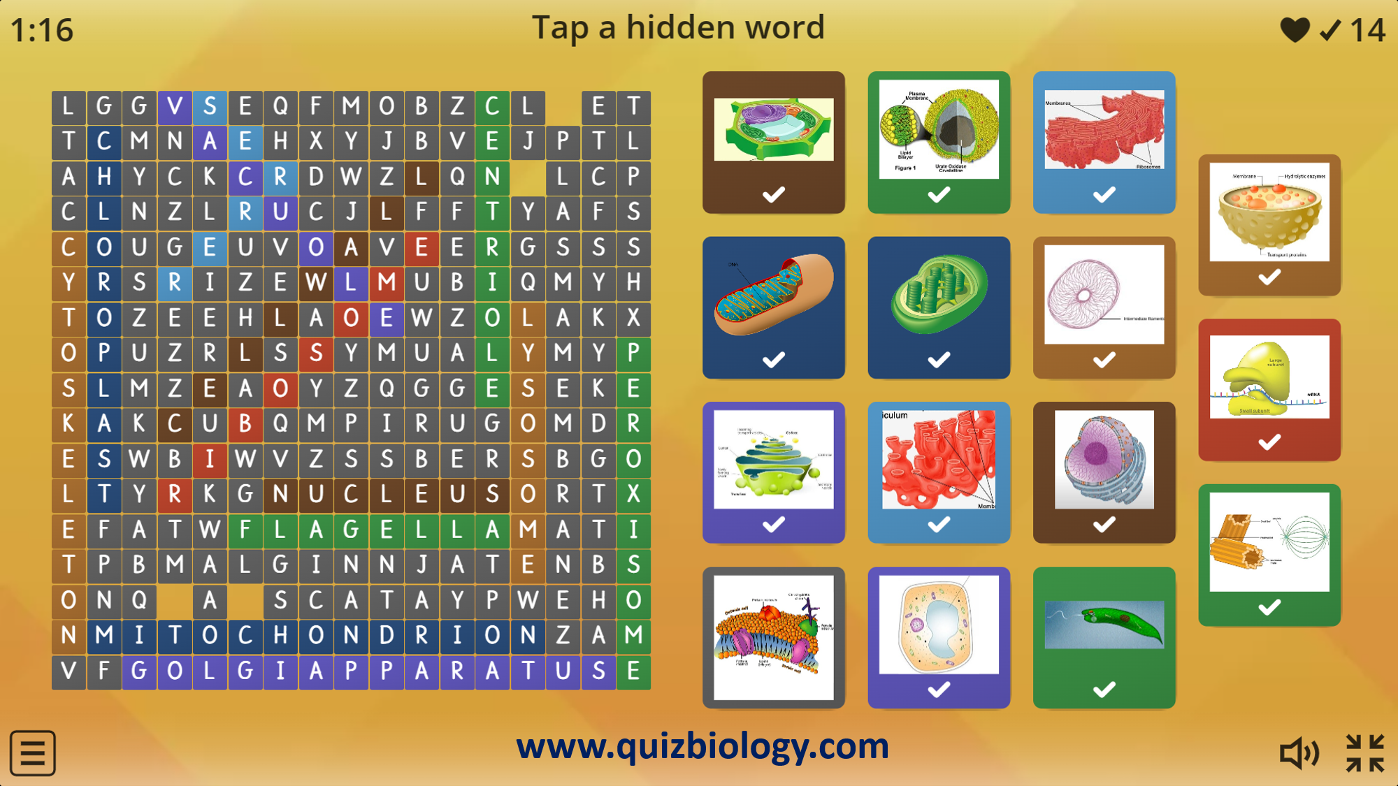 Cell Structure Crossword Puzzle Answer Key Pdf