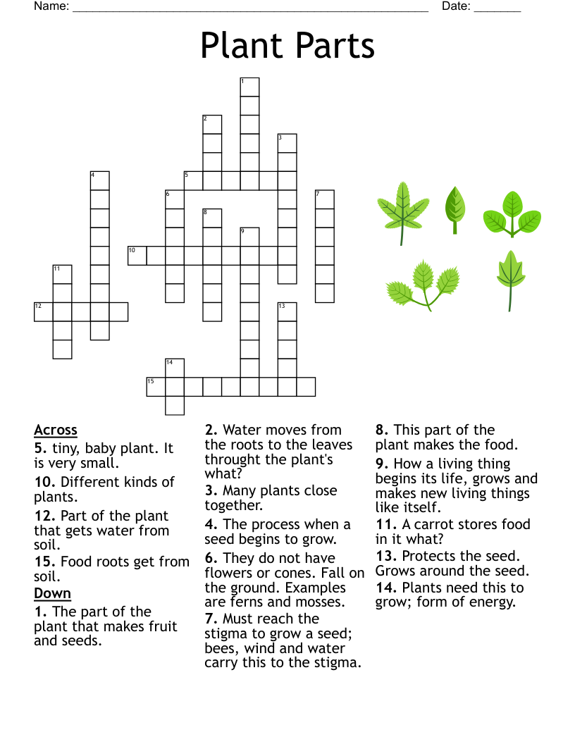5th Grade Science Vocabulary Crossword WordMint