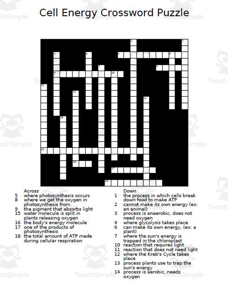 Cell Energy Crossword Puzzle By Teach Simple