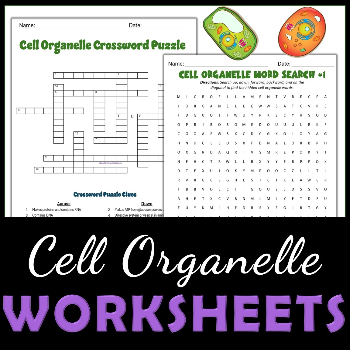 Cell Organelle Crossword And Word Search Classful