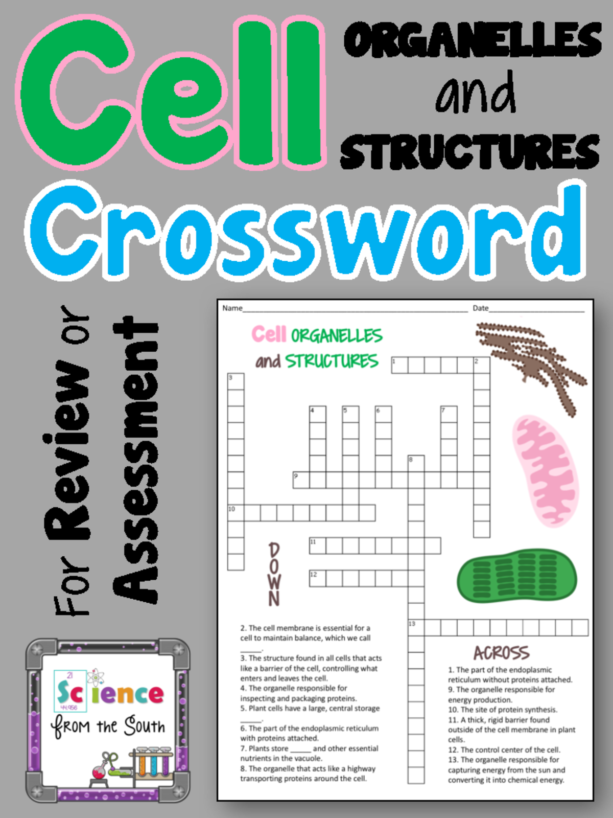 Cell Organellesand Structures Crossword Puzzle Freebie 1 For 
