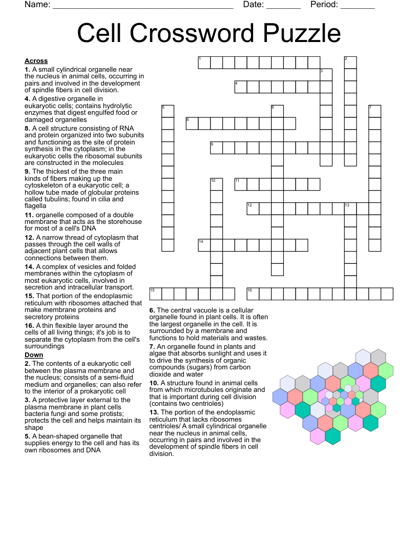 Cell Structure And Function Crossword WordMint