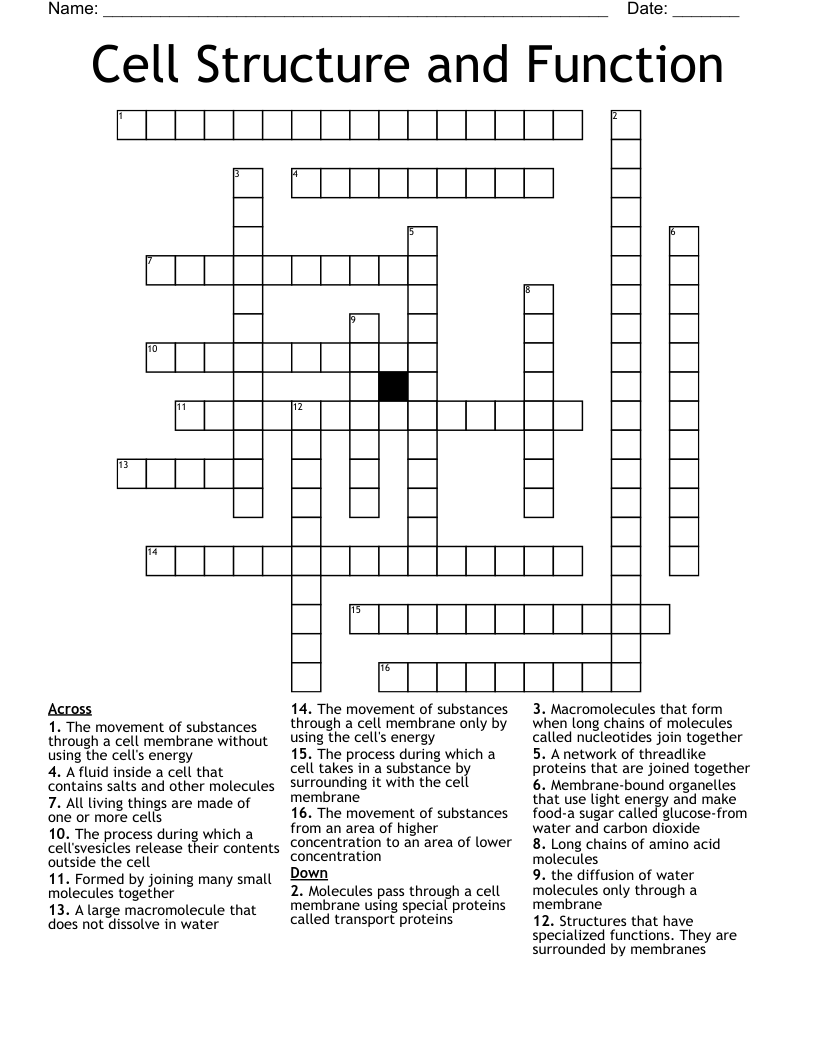 Cell Structure And Function Crossword WordMint
