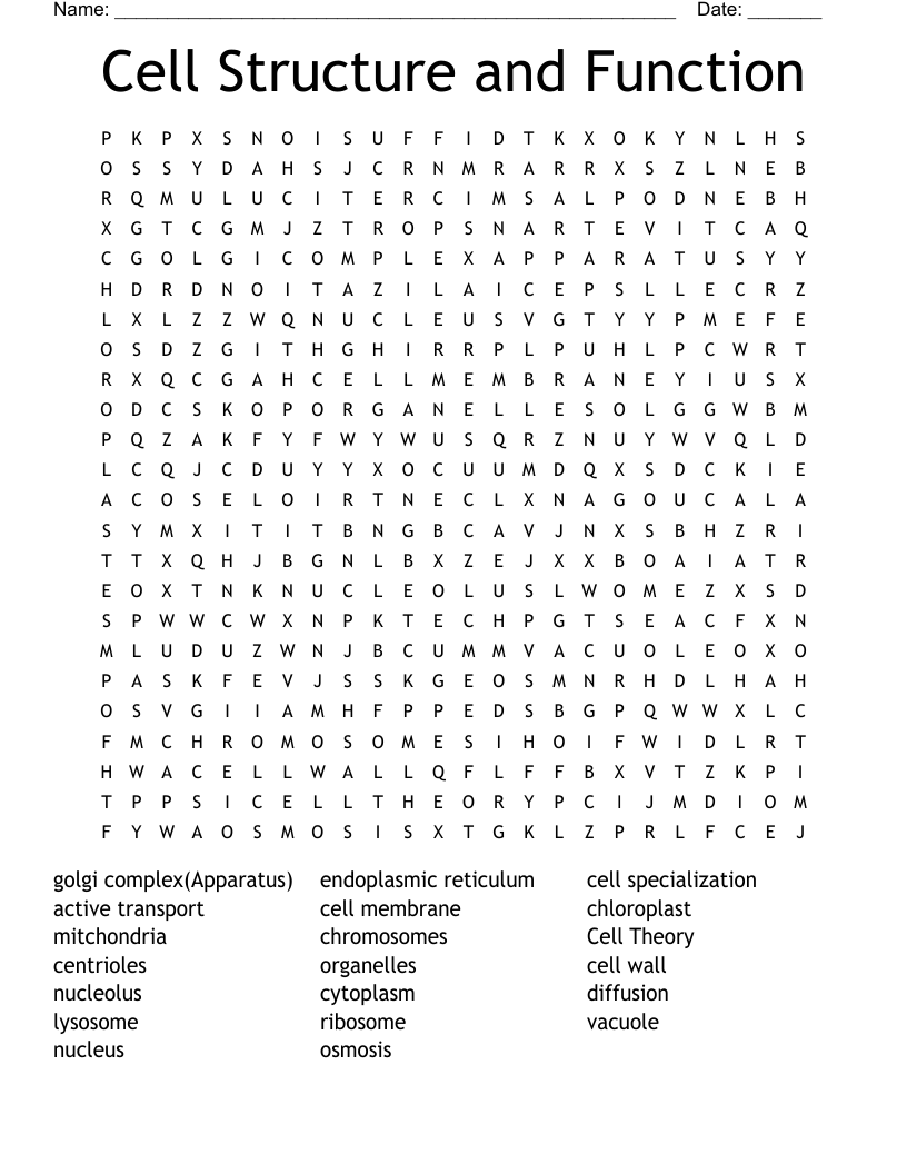Cell Structure And Function Word Search WordMint