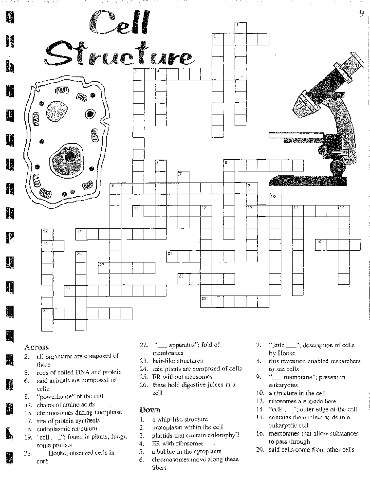 Cell Structure Crossword Puzzle Studocu