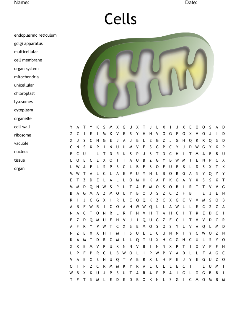 Cell Structure U0026 Function Crossword WordMint