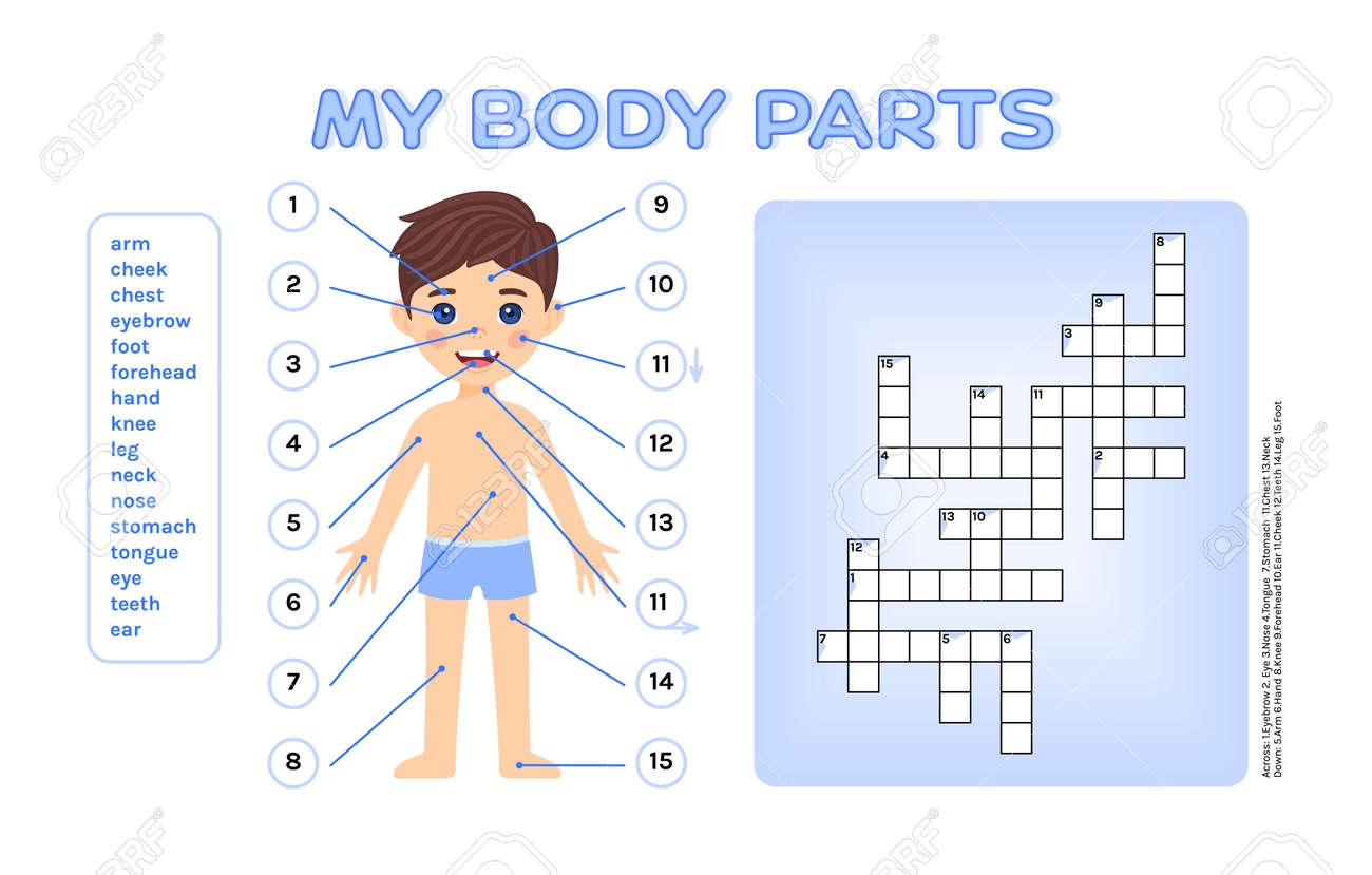 Biology Crossword Puzzle