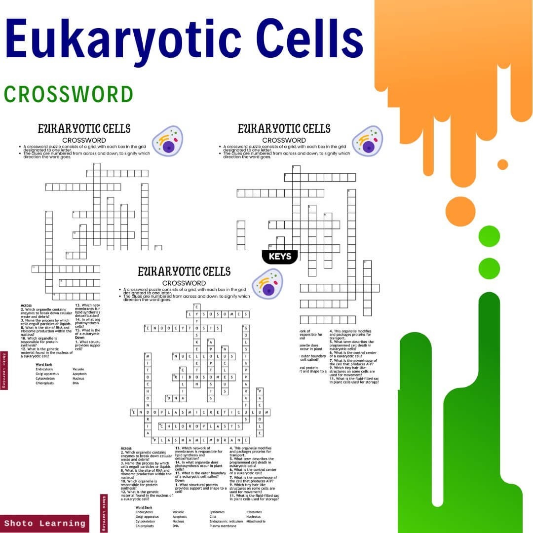 Cell Structure Crossword Puzzle Answer Key