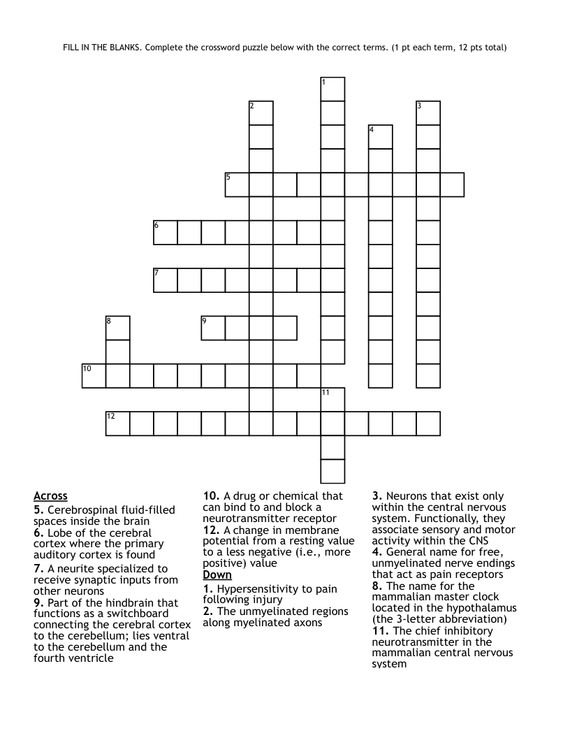 FILL IN THE BLANKS Complete The Crossword Puzzle Below With The Correct Terms 1 Pt Each Term 12 Pts Total WordMint