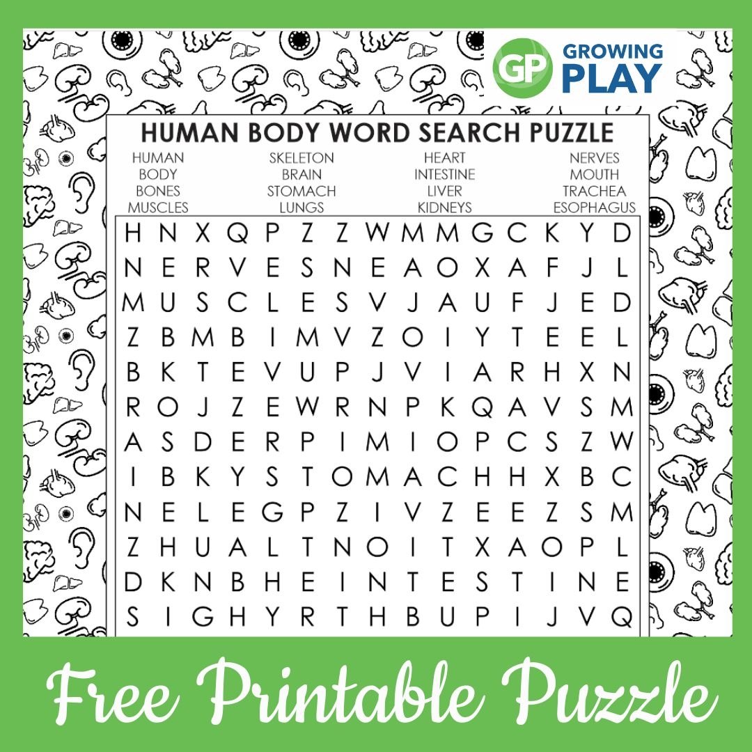 Human Body Word Search Printable FREE Growing Play