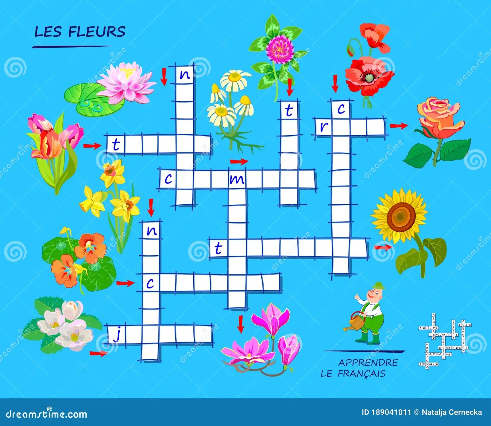 LEARN FRENCH Crossword Puzzle Game With Flowers Educational Page For Children To Study French Language And Words Stock Vector Illustration Of Exercise Logic 189041011