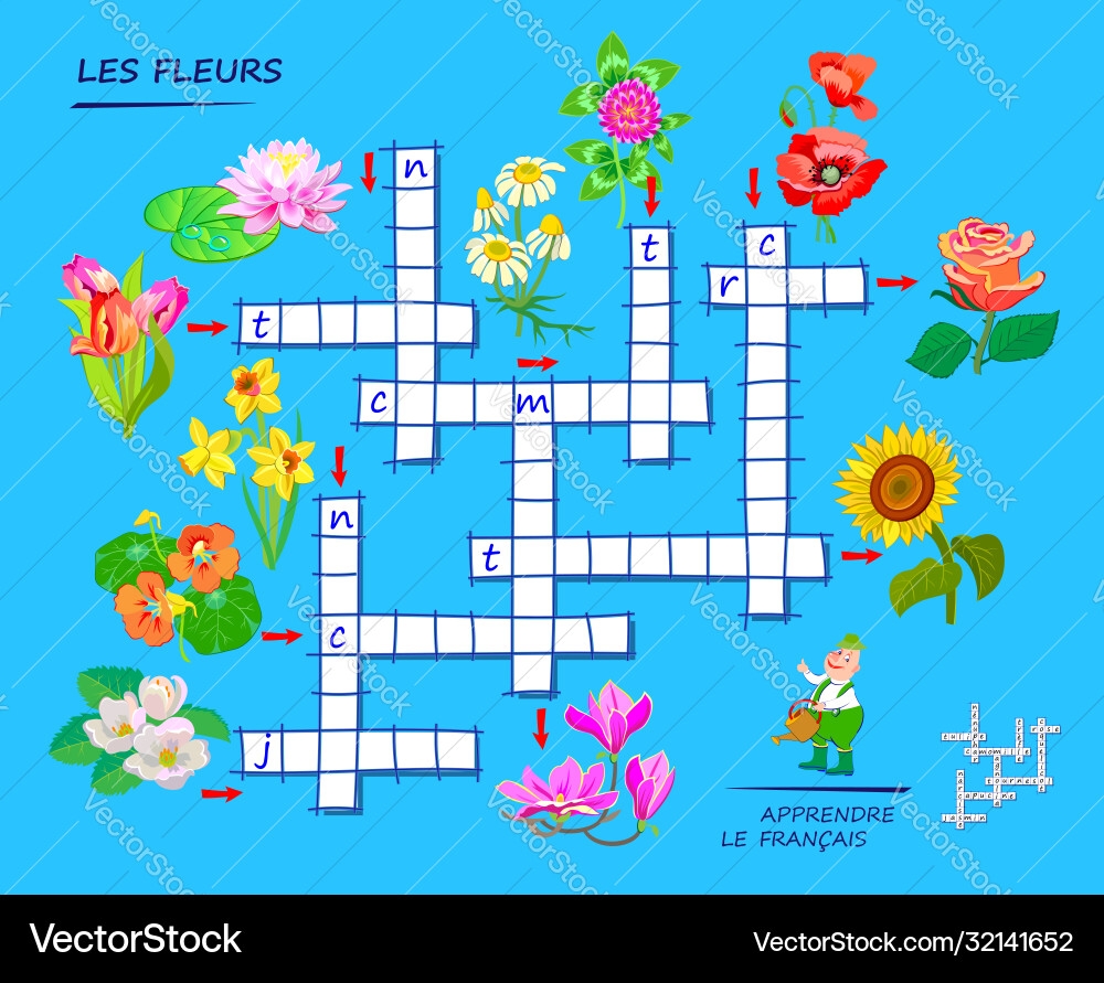 Learn French Crossword Puzzle Game With Flowers Vector Image