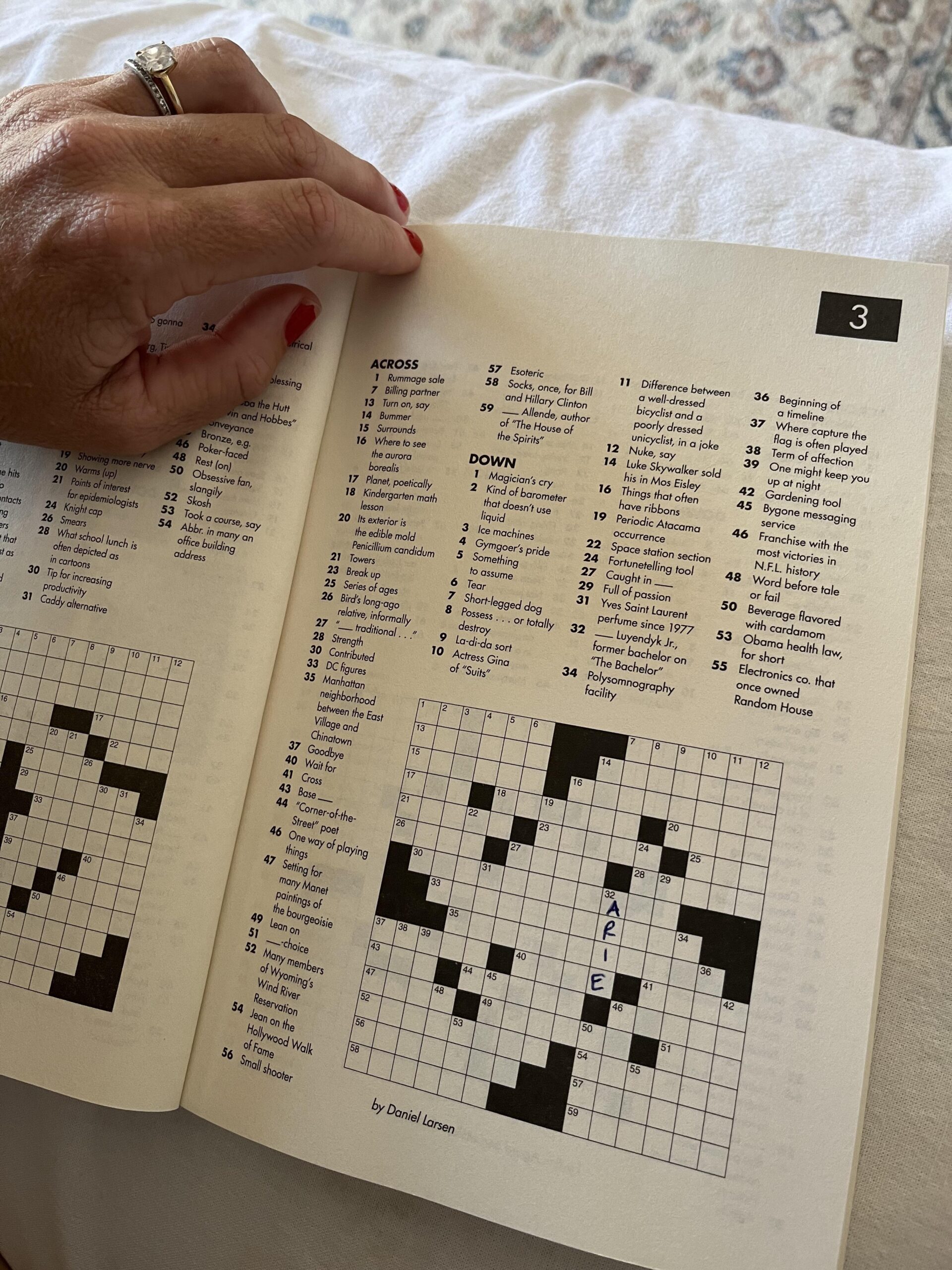 My Husband Got Me A seriously Hard Crossword Puzzle Book And I 