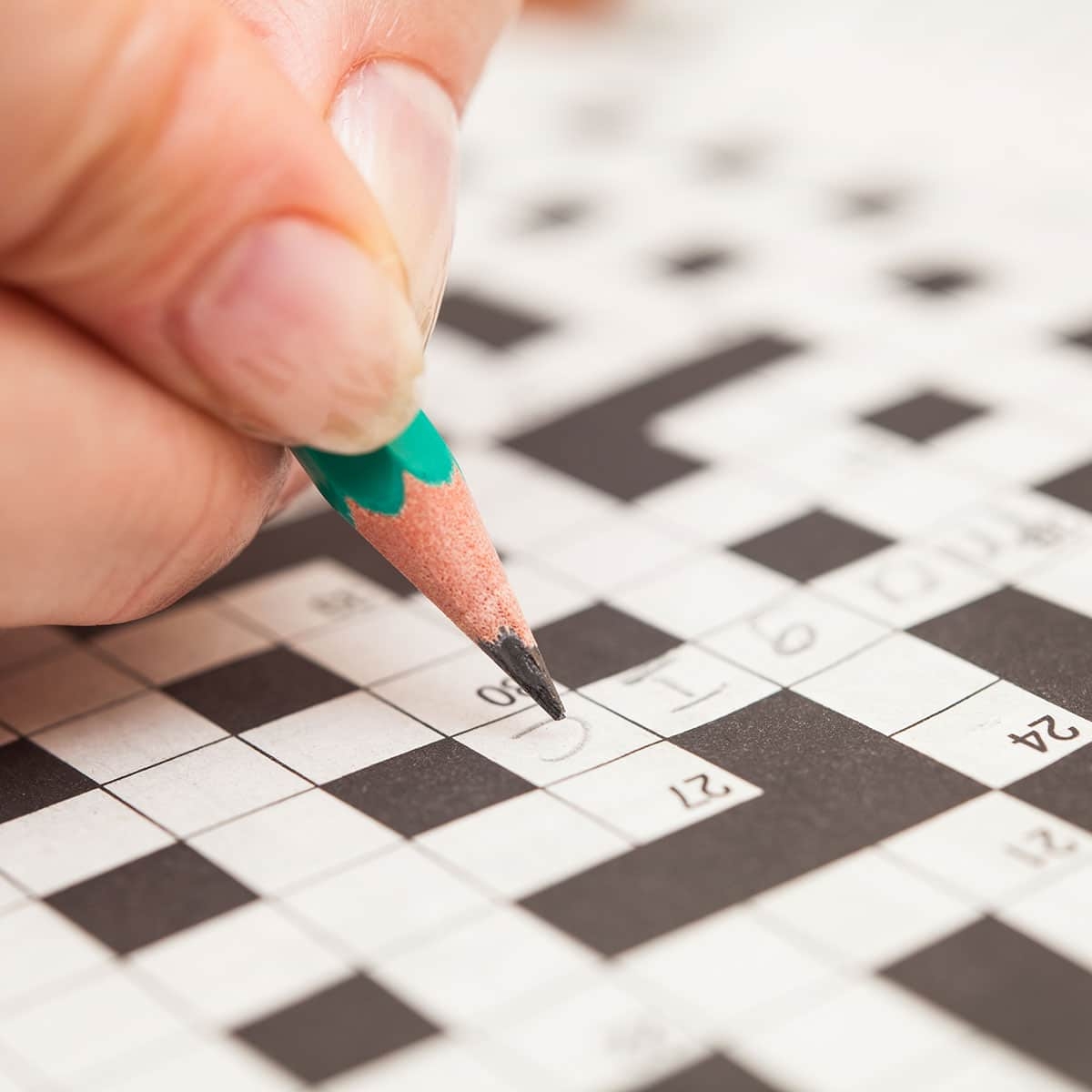 NATIONAL CROSSWORD PUZZLE DAY December 21 2024 National Today