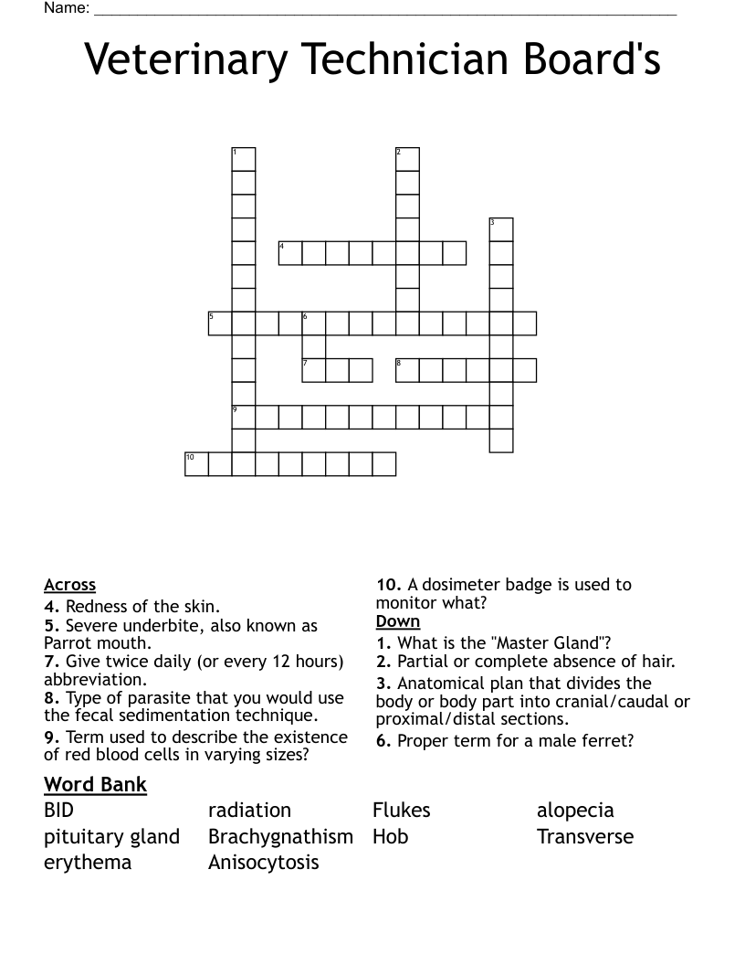 Crossword Puzzles Daily Master