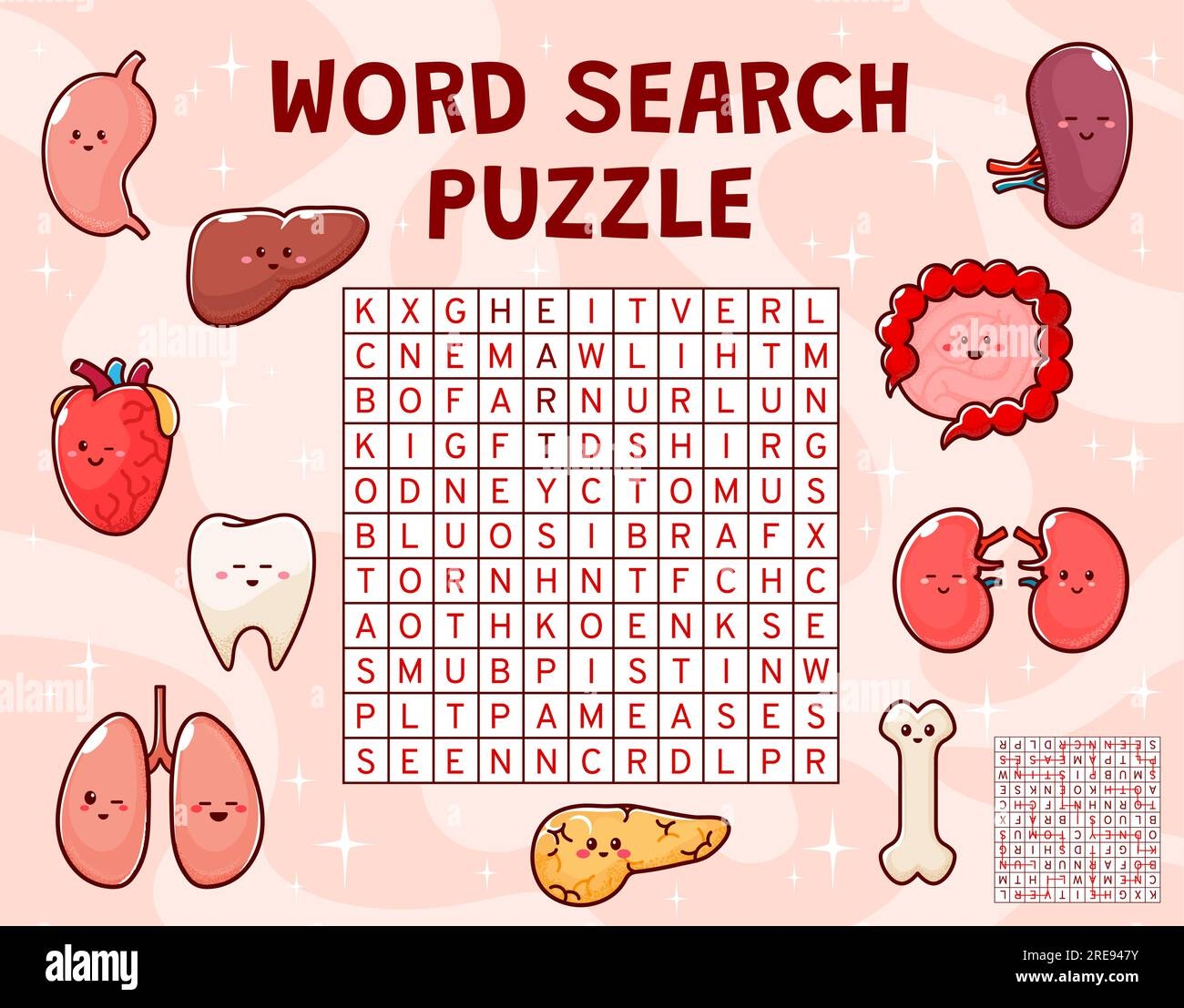 Word Search Puzzle Game Human Body Organ Characters Crossword Wordsearch Puzzle Vocabulary Riddle Vector Worksheet With Stomach Tooth Pancreas Heart And Intestine Liver Cheerful Personages Stock Vector Image Art Alamy