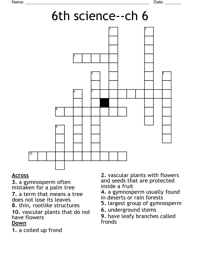 6th Science ch 6 Crossword WordMint