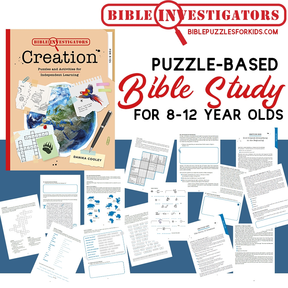 Bible Investigators Bible Puzzles For Kids Thinking Kids