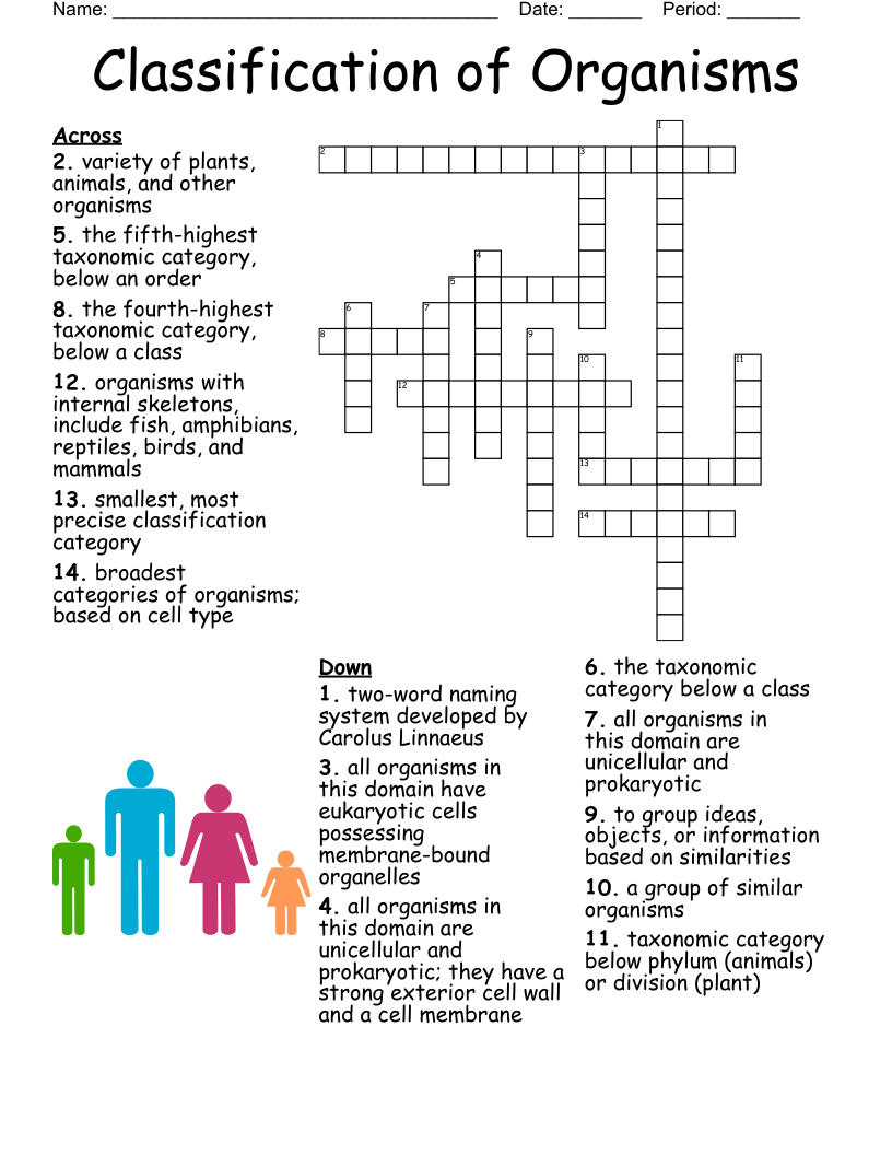 Biology Chapter 3 6 Crossword WordMint
