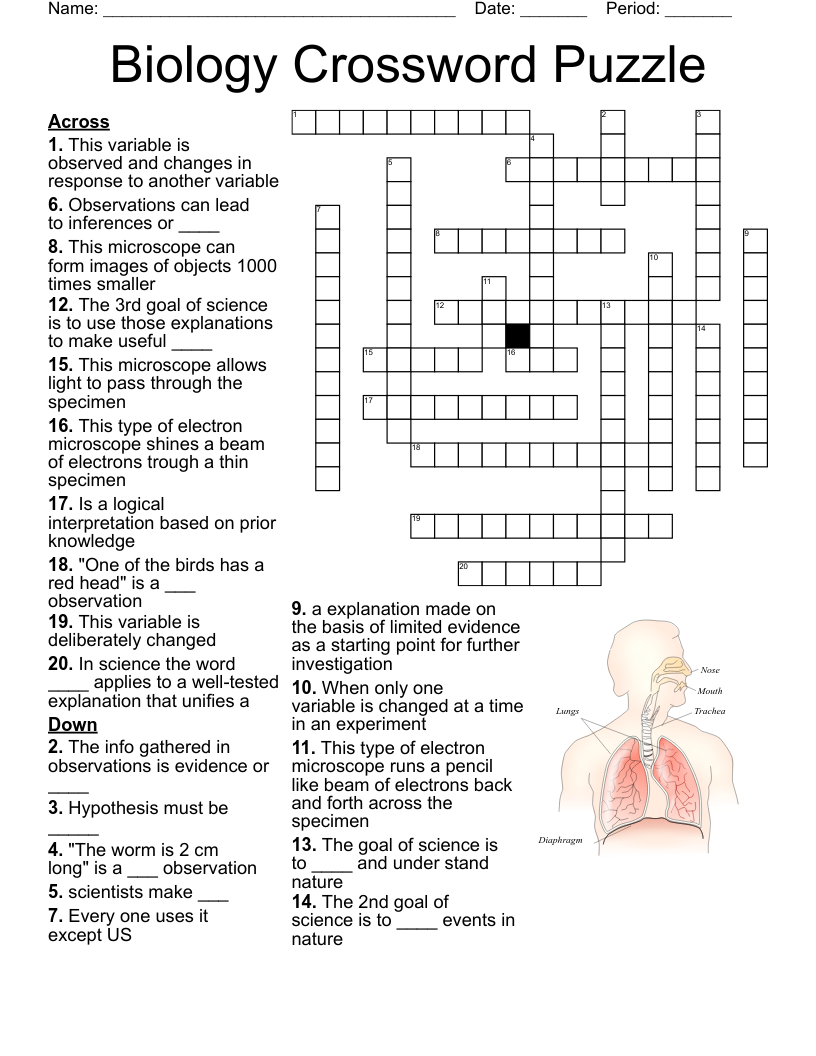 Biology Crossword Puzzles For Grade 6