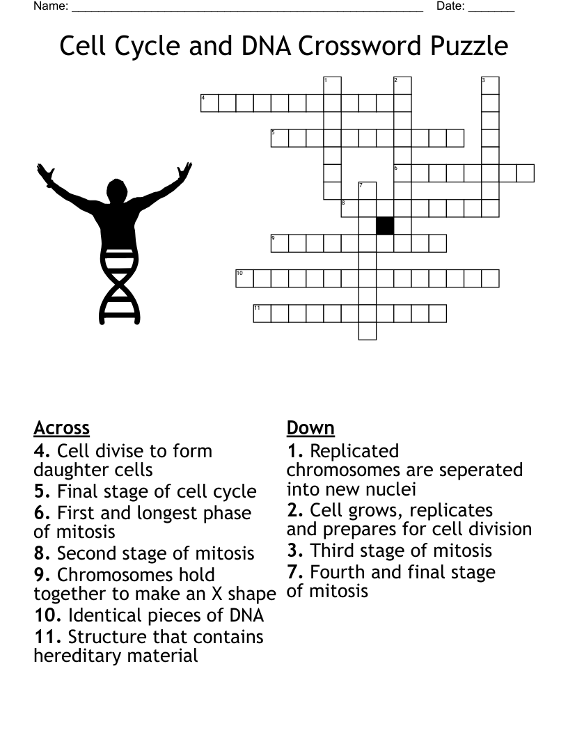 Biology Crossword Puzzle WordMint