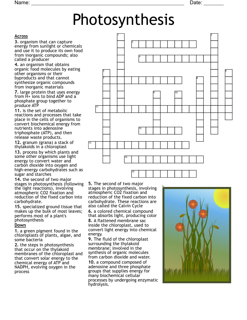 Crossword Puzzles Biology