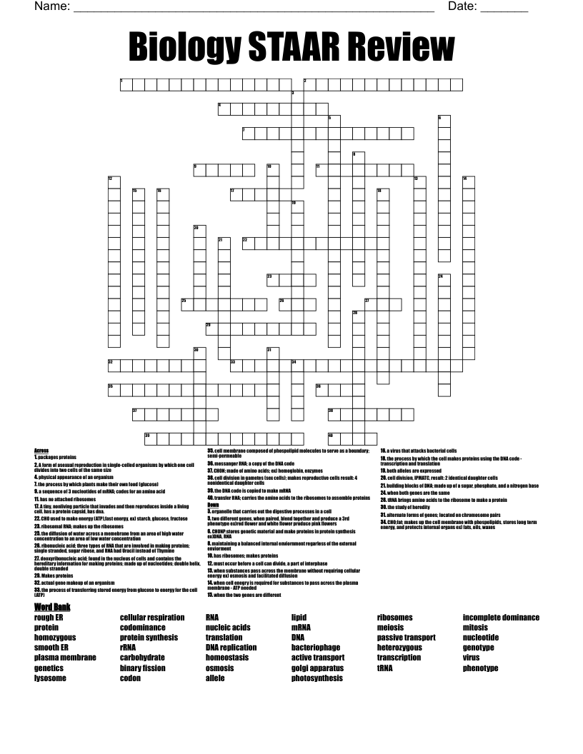 Biology STAAR Review Crossword WordMint