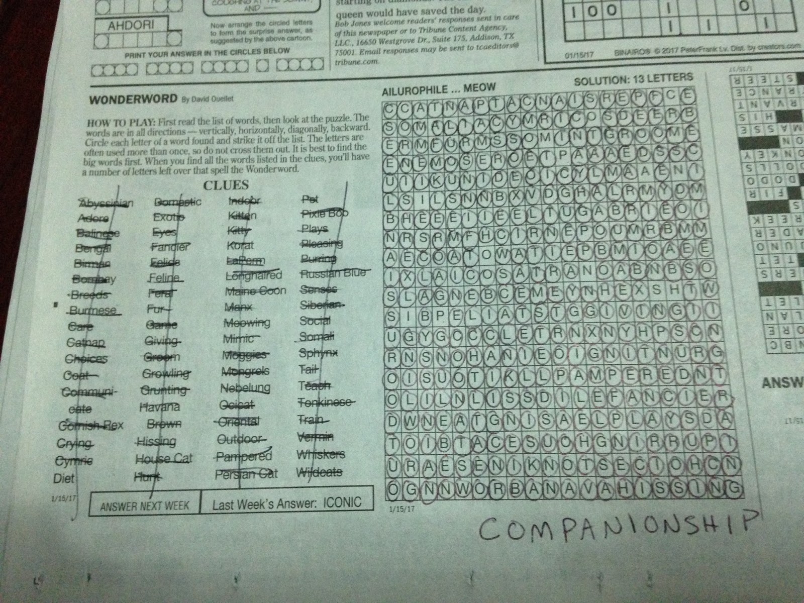 Crossword Puzzles Detroit Free Press