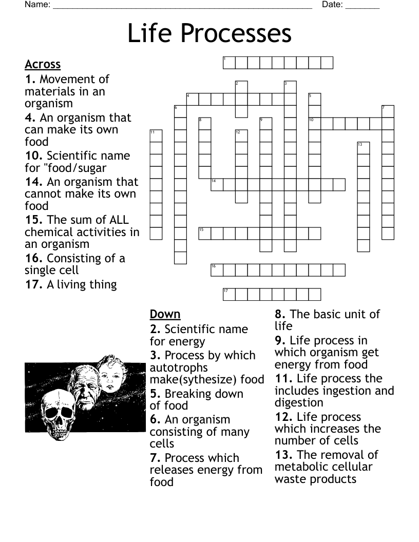 Life Processes Crossword WordMint