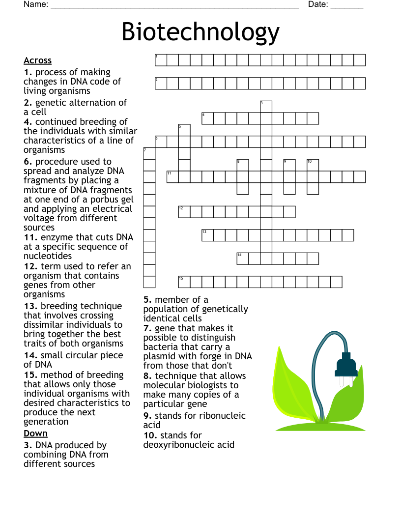Unit 6 AP Biology Vocabulary Crossword WordMint