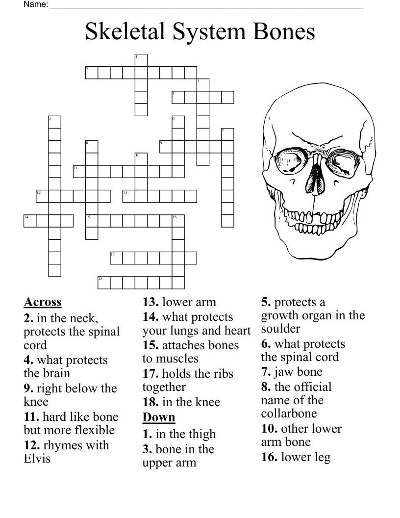 Free Crossword Jam Puzzles